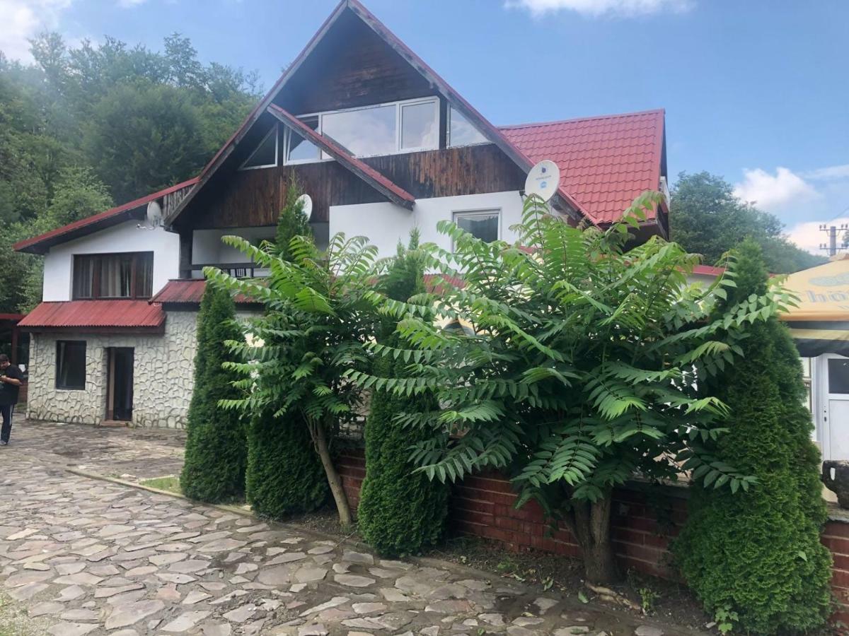 Popas Balea Rau Hotel Cârțișoara Exterior photo
