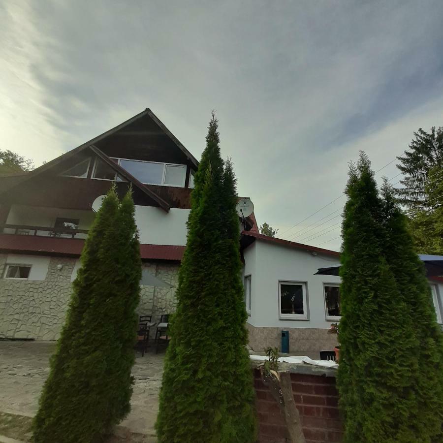 Popas Balea Rau Hotel Cârțișoara Exterior photo