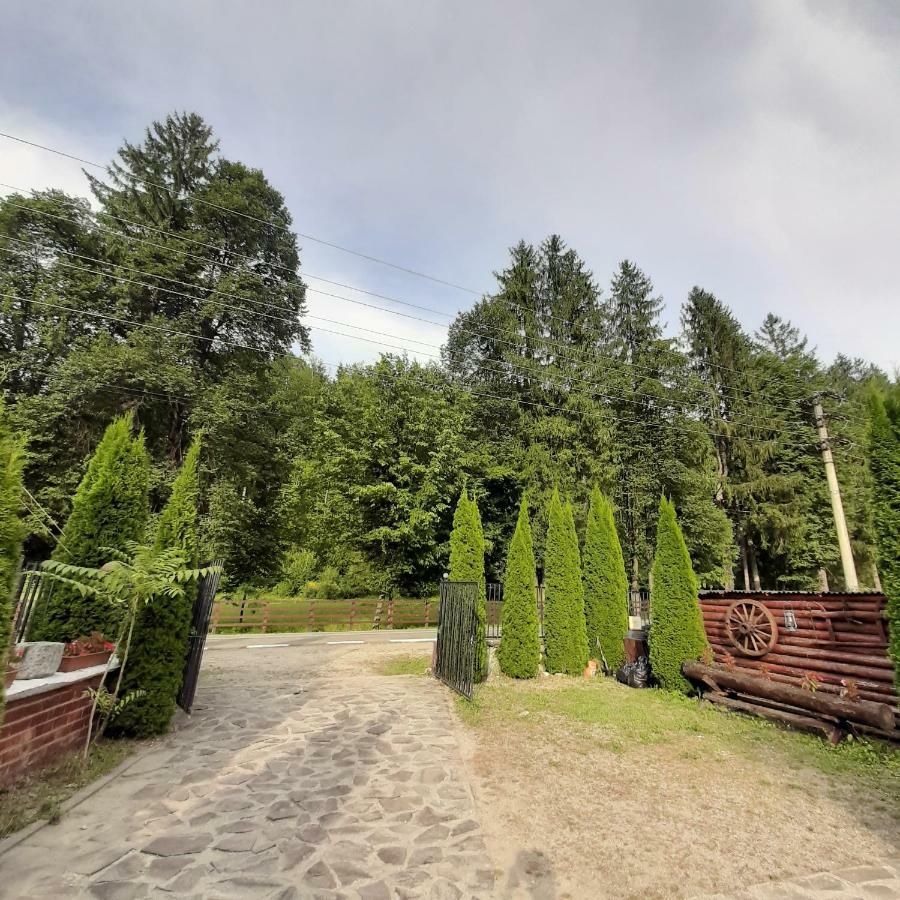 Popas Balea Rau Hotel Cârțișoara Exterior photo