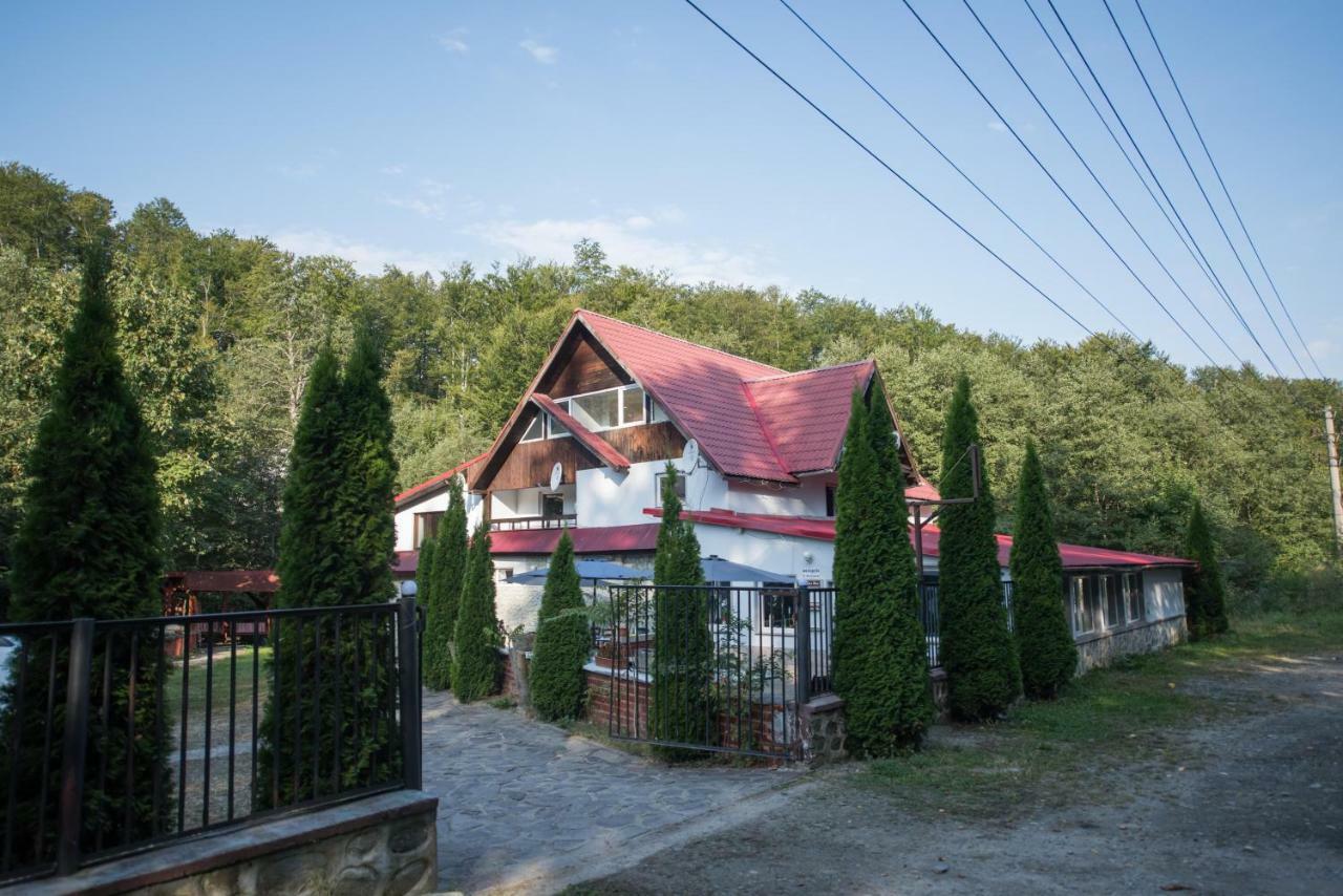 Popas Balea Rau Hotel Cârțișoara Exterior photo